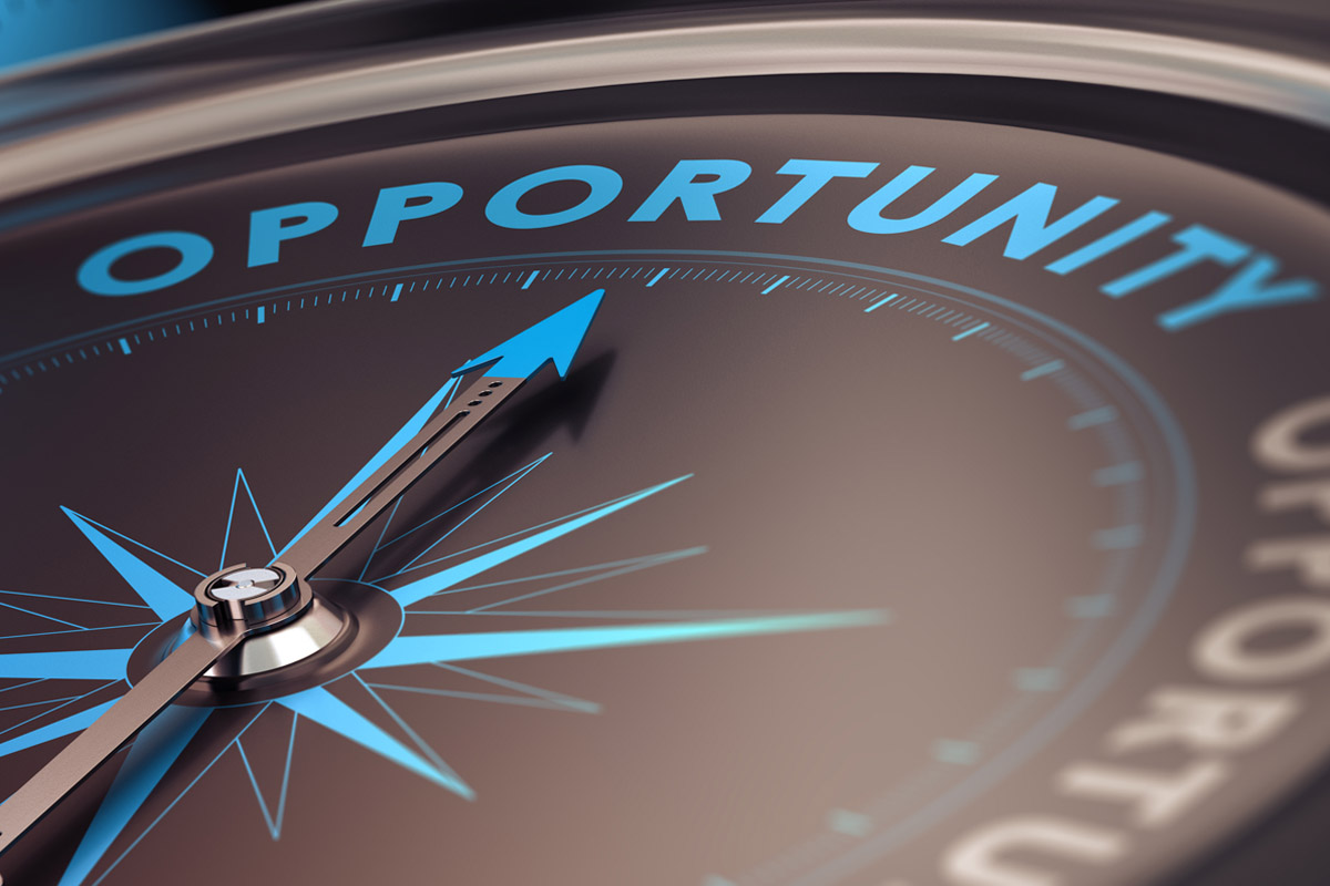 A year of lost opportunity